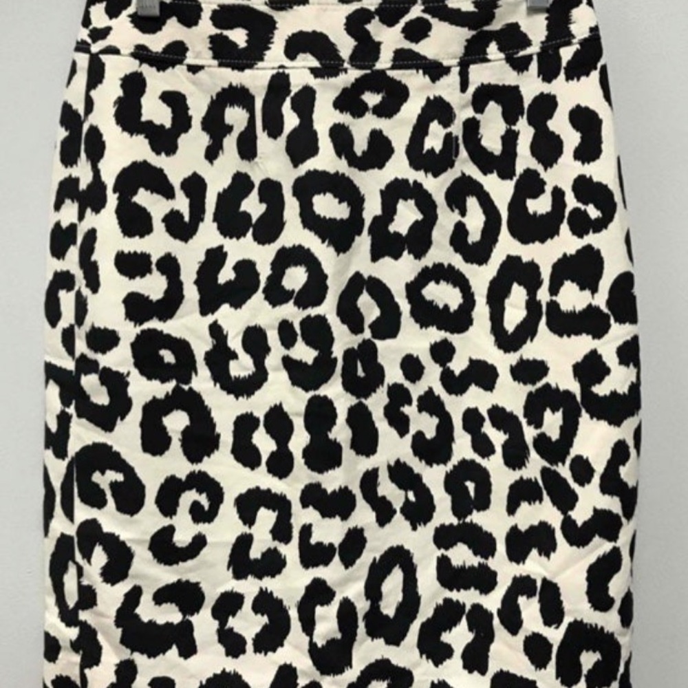 Womens Size 4 Ann Taylor Loft Skirt